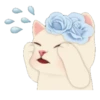 Cute cat 6
