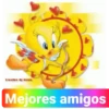 Piolin 2.0 24