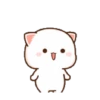 Peach cat 10 23