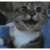 Sticker de TikTok 19