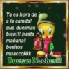 Piolin 2.0 5