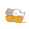 Kucing gemoy 15