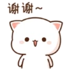 Pandaaaaaaa 21
