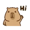Hi
