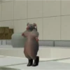 Tiktok dancing 6