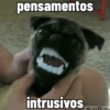 🐕 Coitadolândia de Cachorrinho 28