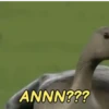 ANNN???
