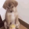 Regresa conmigo 😭 🥺 11