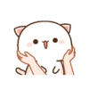 Kucing gemoy 13