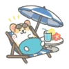 Summer Corgi 10