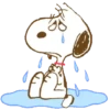 🐾 Snoopy animado 🦴🏠 6
