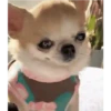 Viral de Tiktok 😎 5