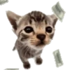 🐱🐾🐈 GATOS 🐈🐾🐱 18
