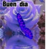 Axy Linda 2026-6 23
