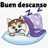 Axy Linda 2026-6 14