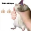 Boa semana 👍 8