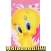 Piolin 2.0 16