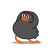 Crazy chicken 10