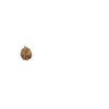 🐴 Fat horse TikTok 🐎 17