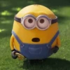 Memes dos minions 💛 7