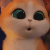 Tingkah lucu kucing 17