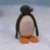 Pinguzinho 🐧🐧 5
