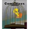 Piolin 2.0 19