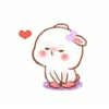 Rabbit🐰 27