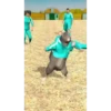 Rat Dance 🐀 11