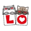 ❤️ Amor San Valentín❤️ 7