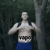 Vapo meme 5