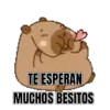 TE ESPERAN MUCHOS BESITOS