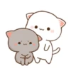 Cat peach 3 6