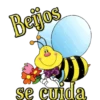 Coração 21