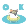 Summer Corgi 14