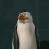 Pinguins de Madagascar 10