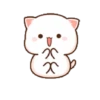 Peach cat 10 22