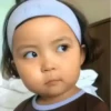 Rohee JinMiran 5.0 10