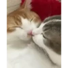 Besos 30