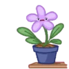 Flowers 🌷 14