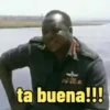 POLÍTICOS  15