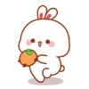Tooji Bunny gif v4 6