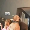 🐕 Coitadolândia de Cachorrinho 31