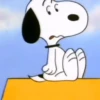 🐾Snoopy 🐾 5
