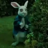 ⏱️🐰 Conejo con reloj 2 🐰⏱️ 13
