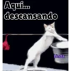 Axy Linda 2026-6 16