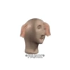 Cortisol gif 9
