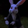 ⏱️🐰 Conejo con reloj 2 🐰⏱️ 11