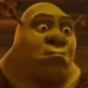 Shrek Time🟢✨ 10