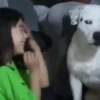 Comentários do TikTok 2 🎵😈  18